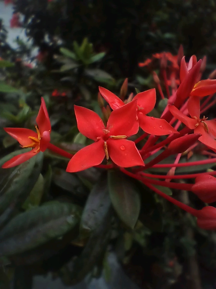 GIF uploaded by Marie