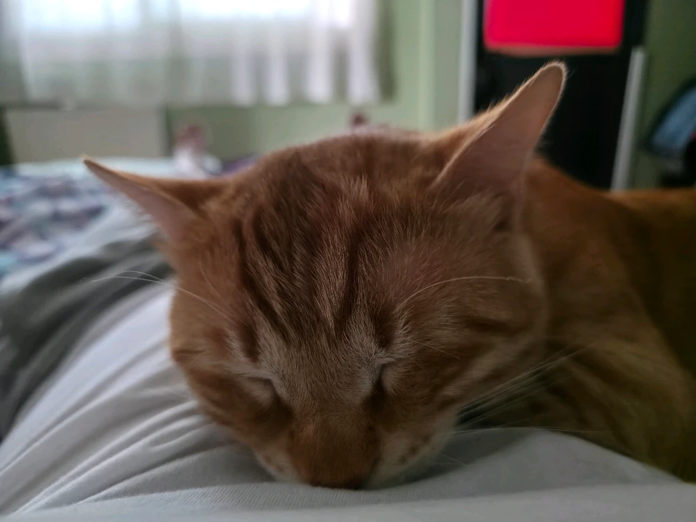 GIF uploaded by 𝕊𝕥𝕒𝕪𝕔𝕖