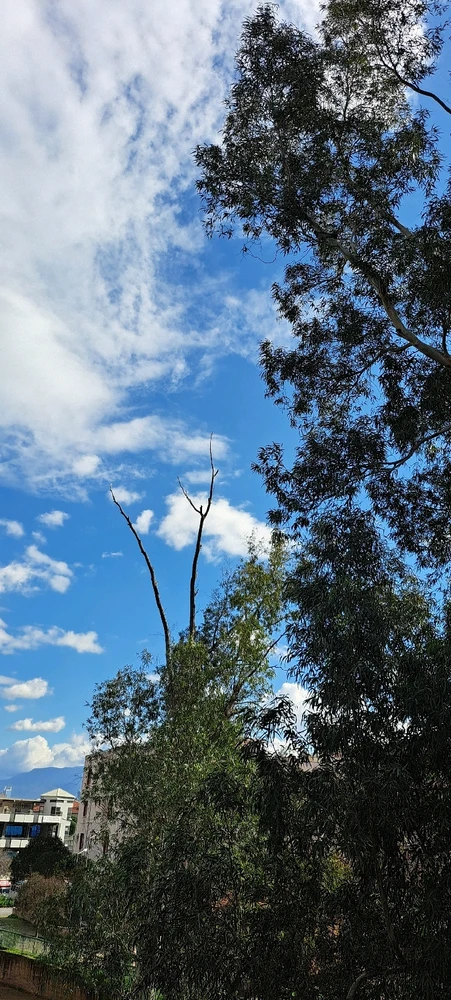 GIF uploaded by Cenk