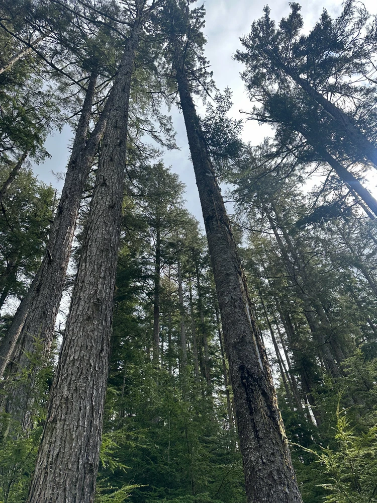 Image uploaded by Carlos