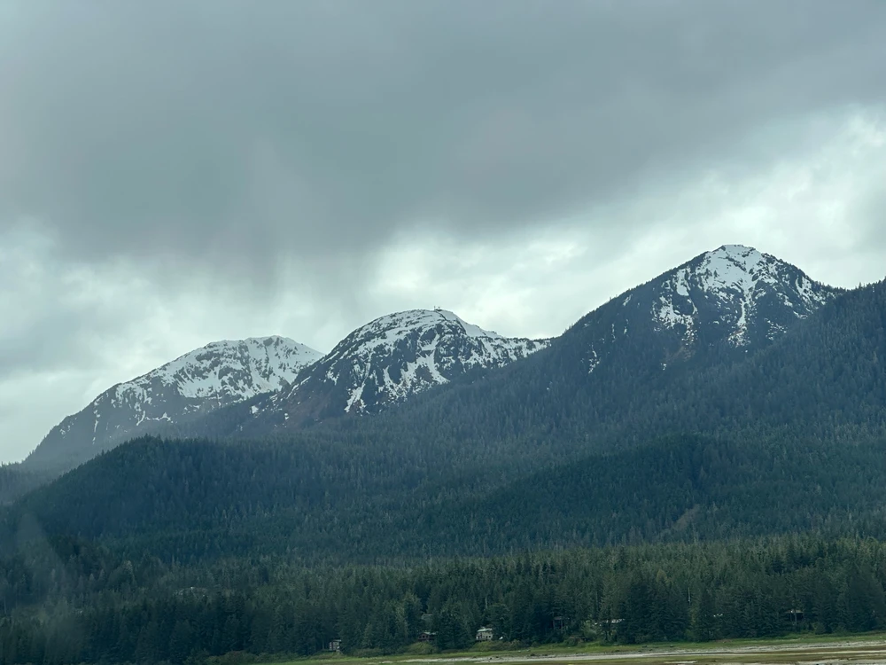 Image uploaded by Carlos