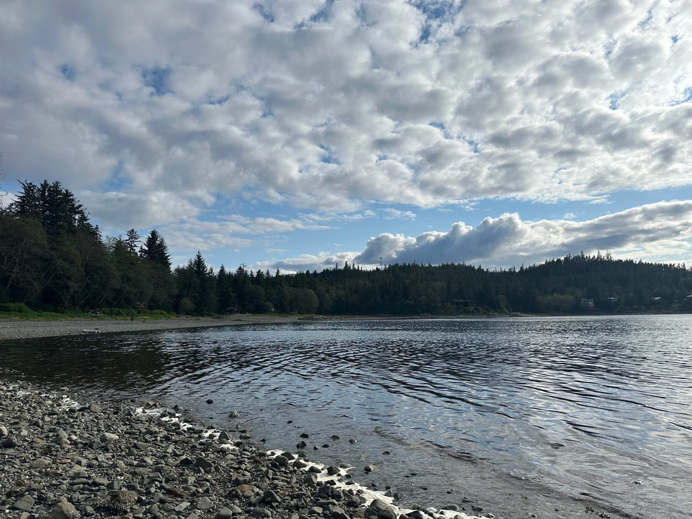 Image uploaded by Carlos