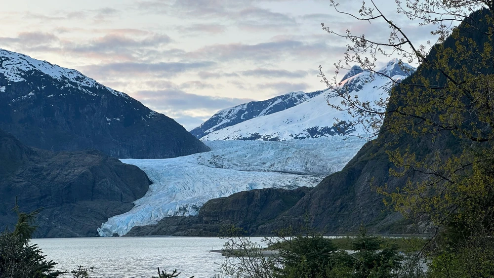 Image uploaded by Carlos