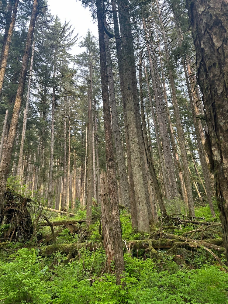 Image uploaded by Carlos