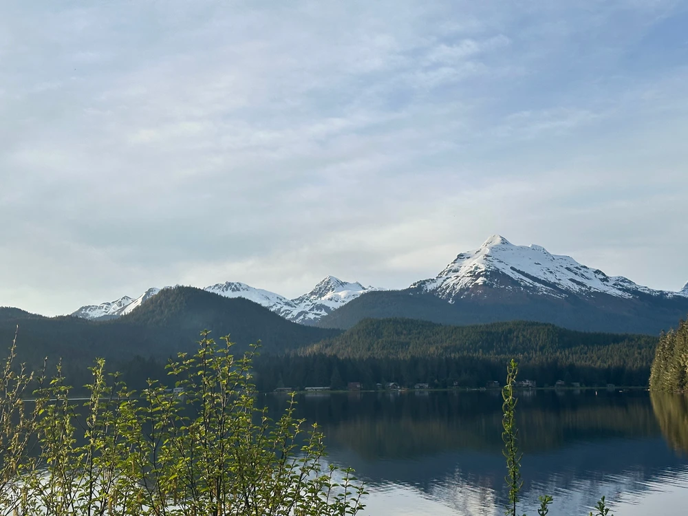 Image uploaded by Carlos