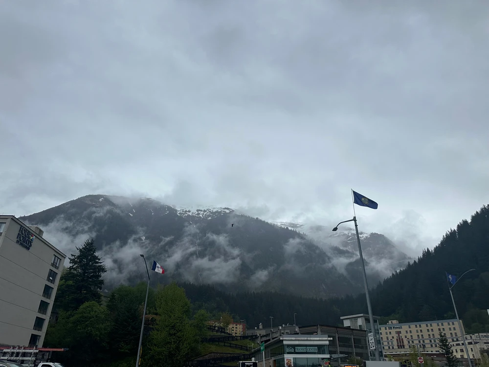 Image uploaded by Carlos