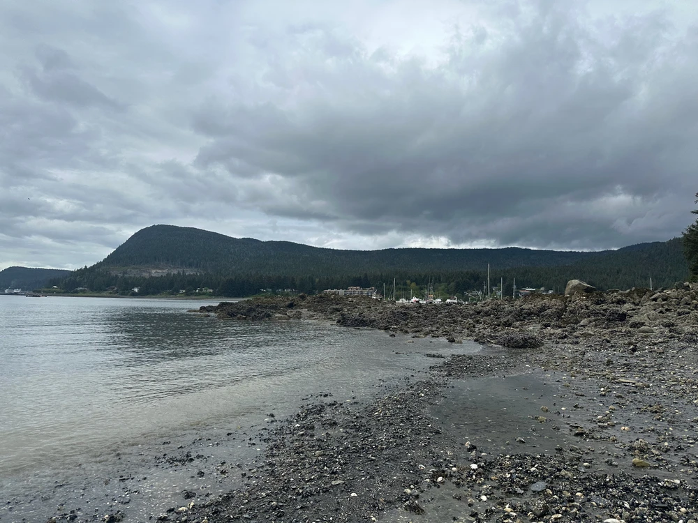 Image uploaded by Carlos