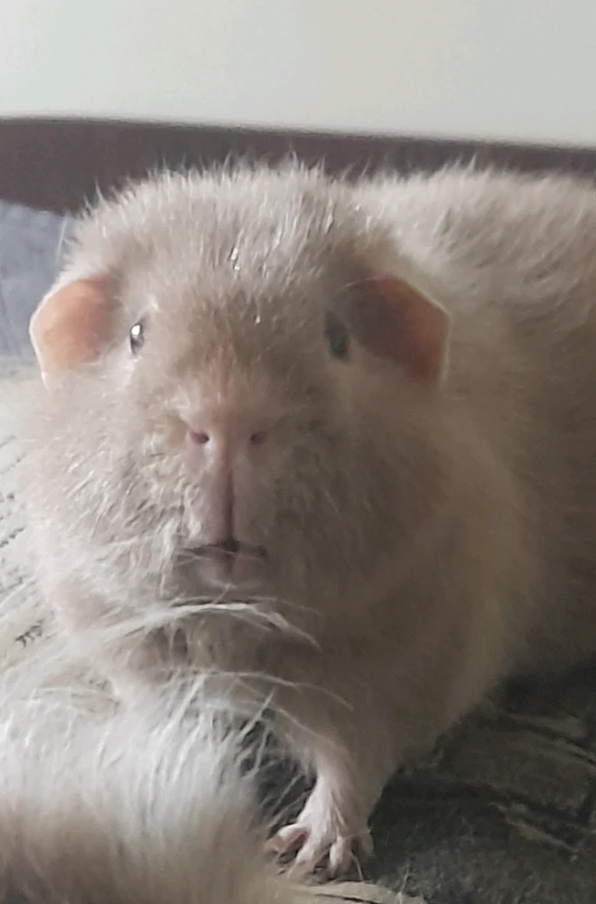 GIF uploaded by Vainius