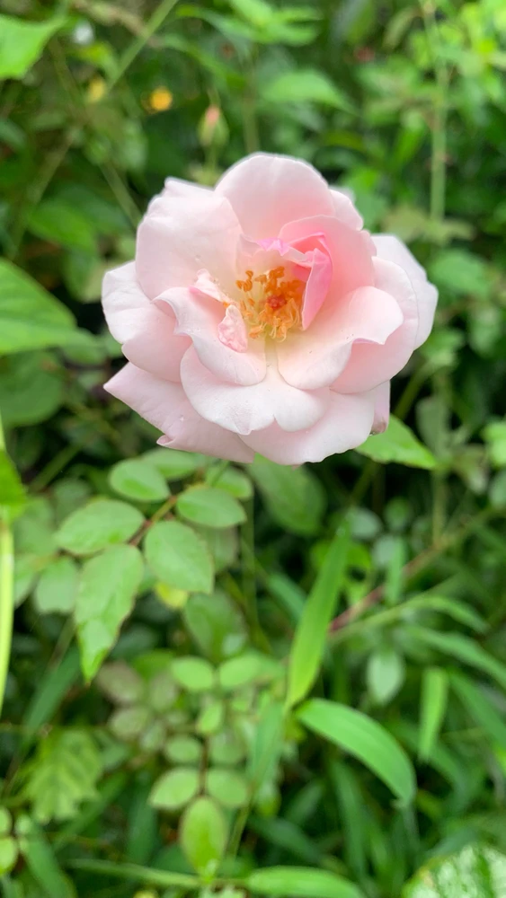 GIF uploaded by Diana