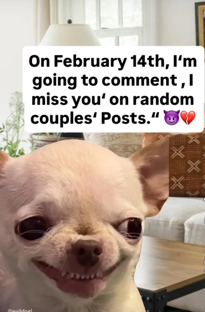 GIF uploaded by Melanie