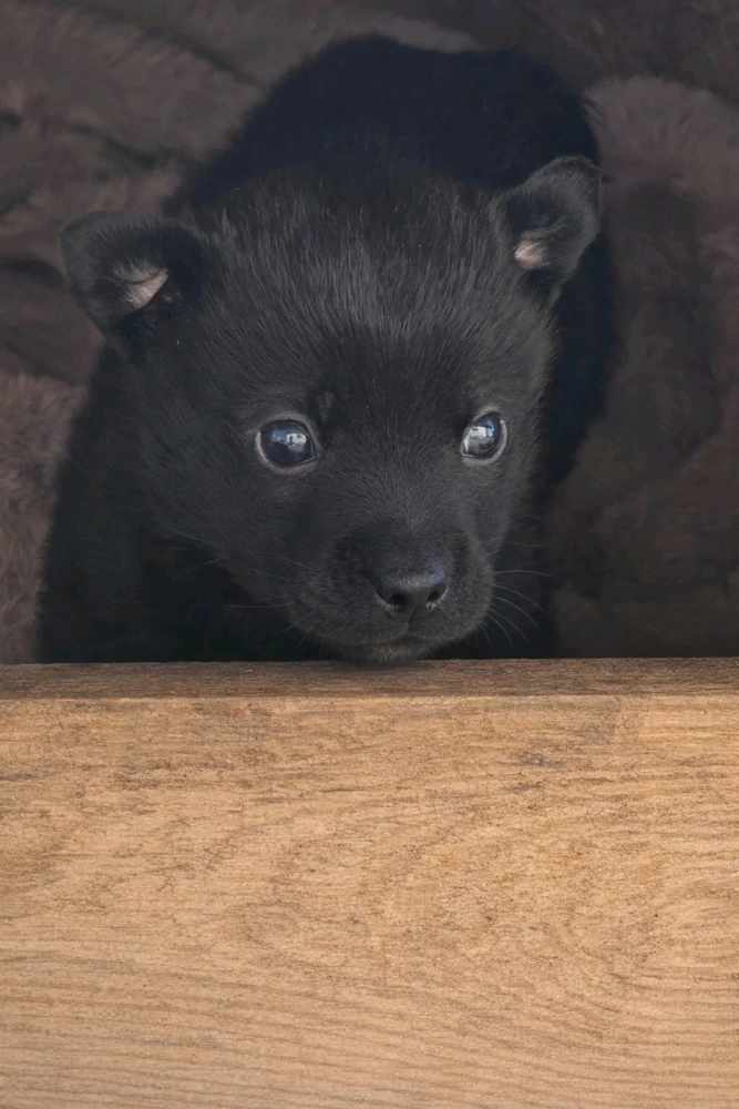 GIF загрузил Валерия