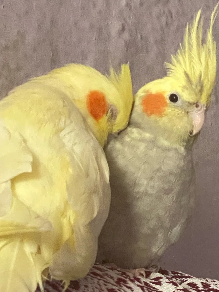 GIF ανέβηκε από eva