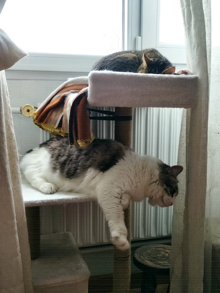 Image uploaded by Nathalie