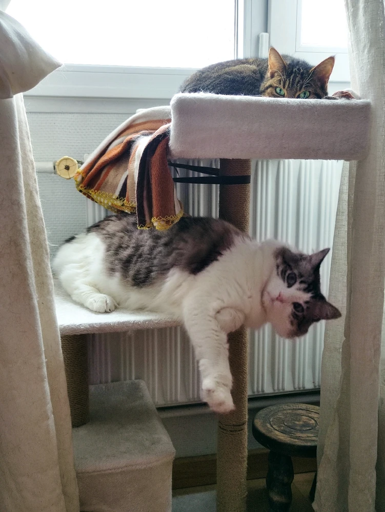 Image uploaded by Nathalie