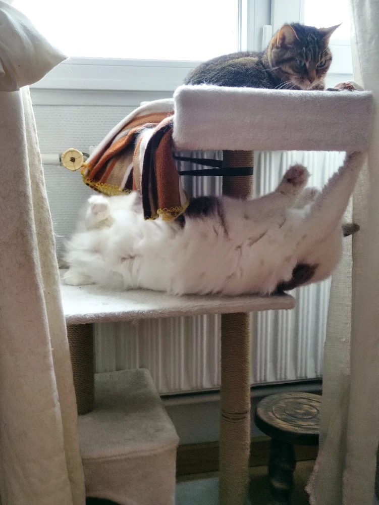 Image uploaded by Nathalie