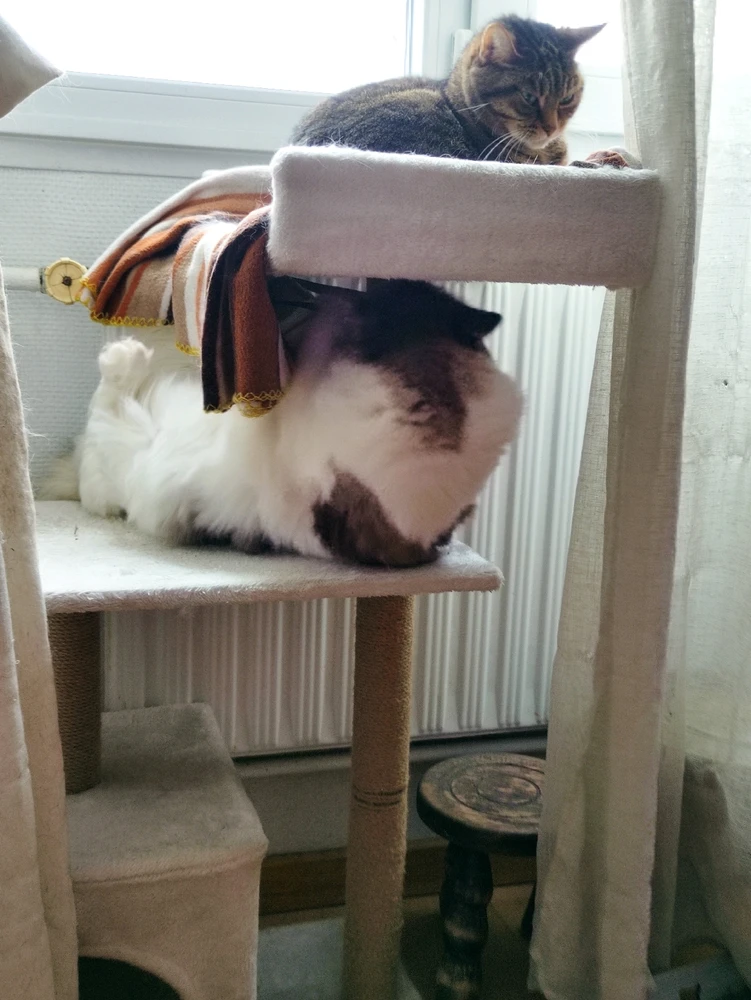 Image uploaded by Nathalie