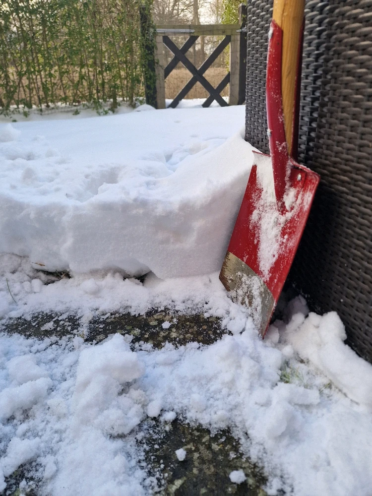 Image uploaded by Chris