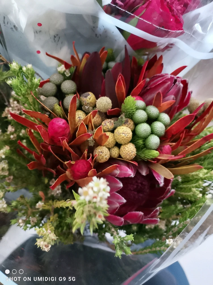 Image uploaded by Millie