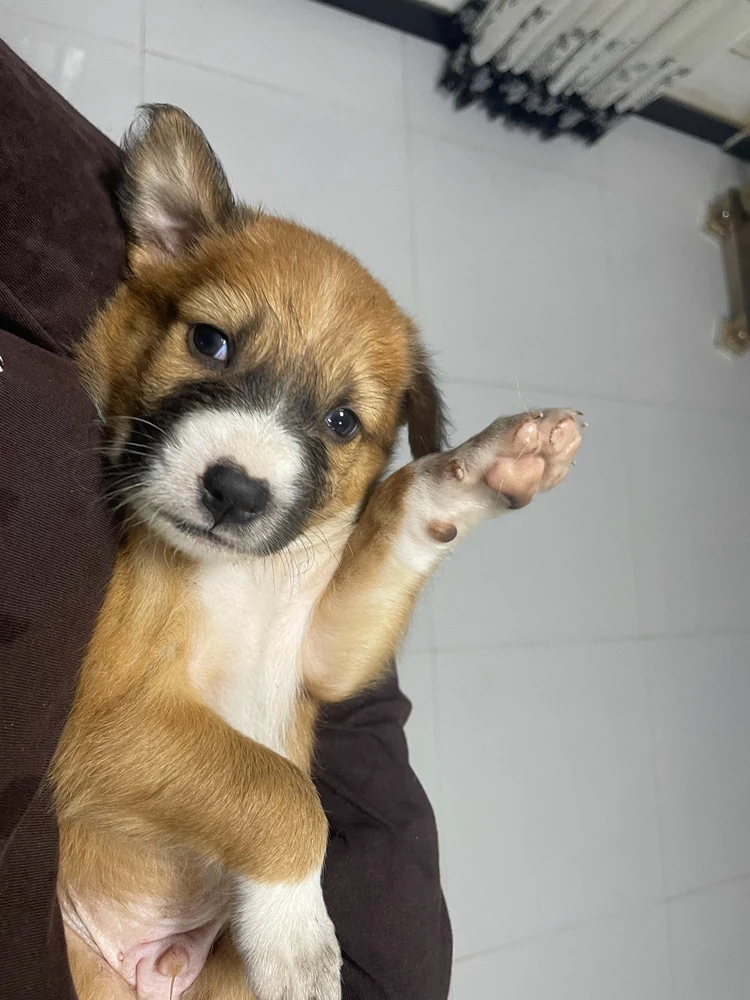 GIF uploaded by Vimasha