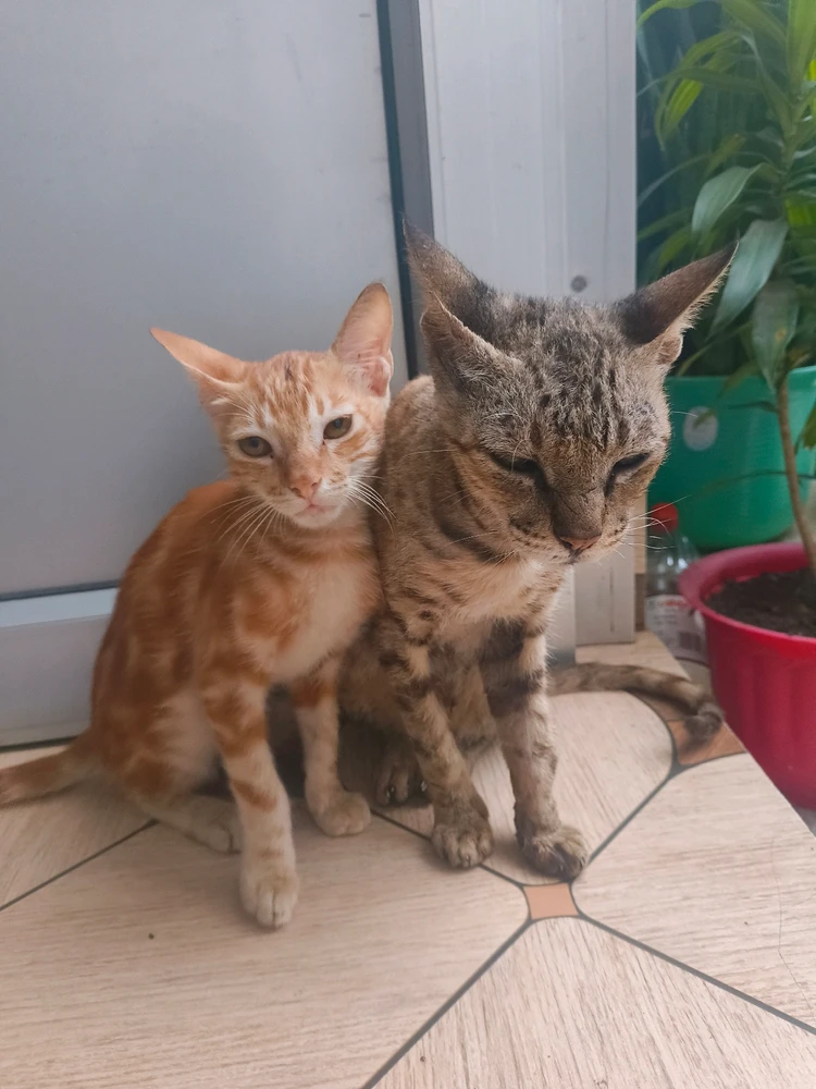 GIF uploaded by Himanshu