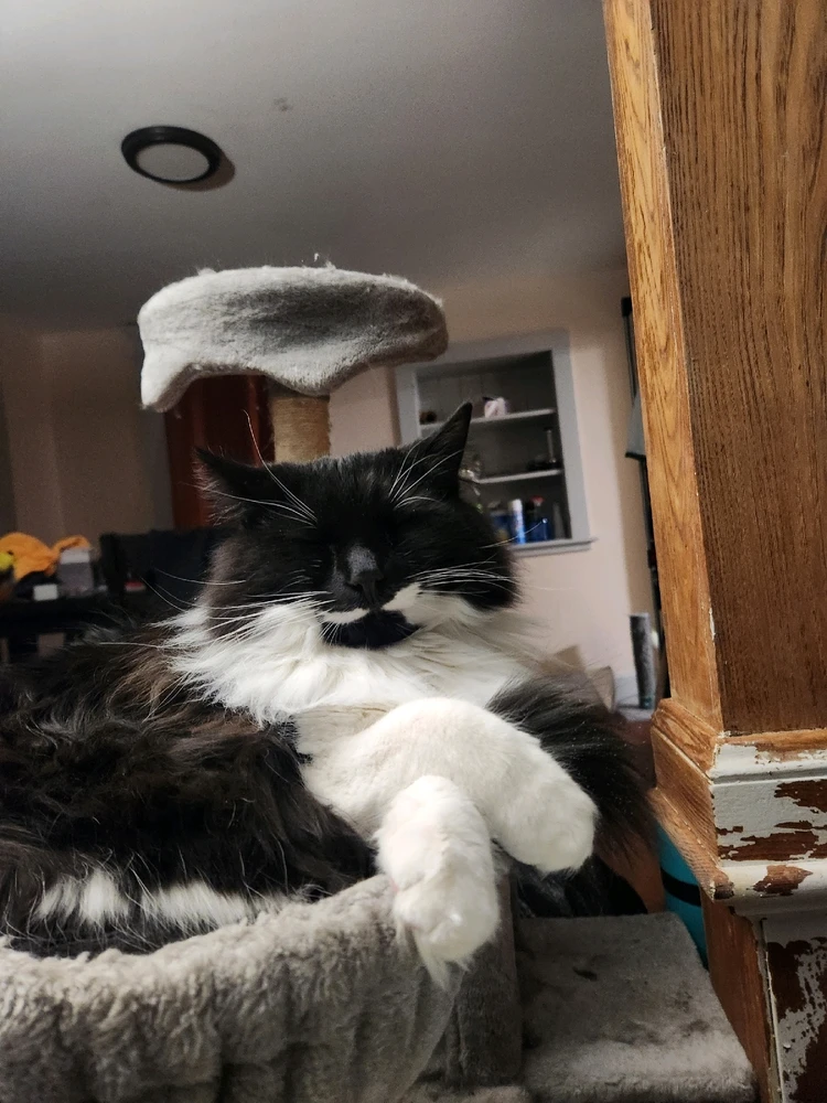 GIF uploaded by Michael