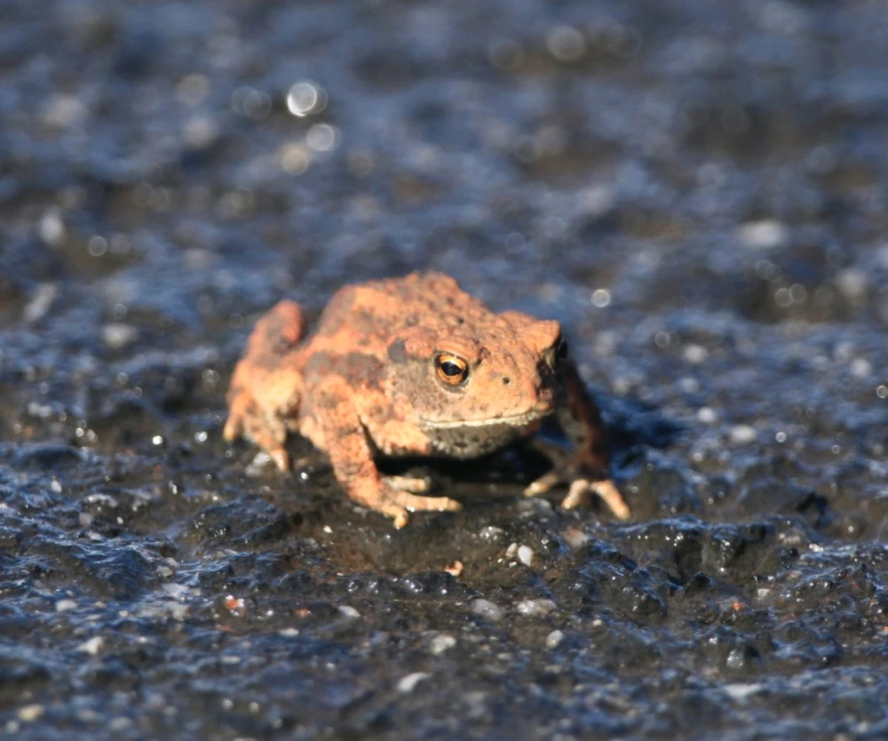 GIF uploaded by Aleš