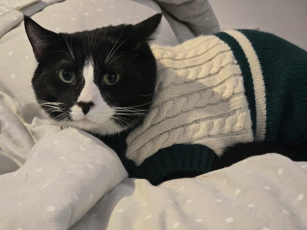 GIF uploaded by Desirae