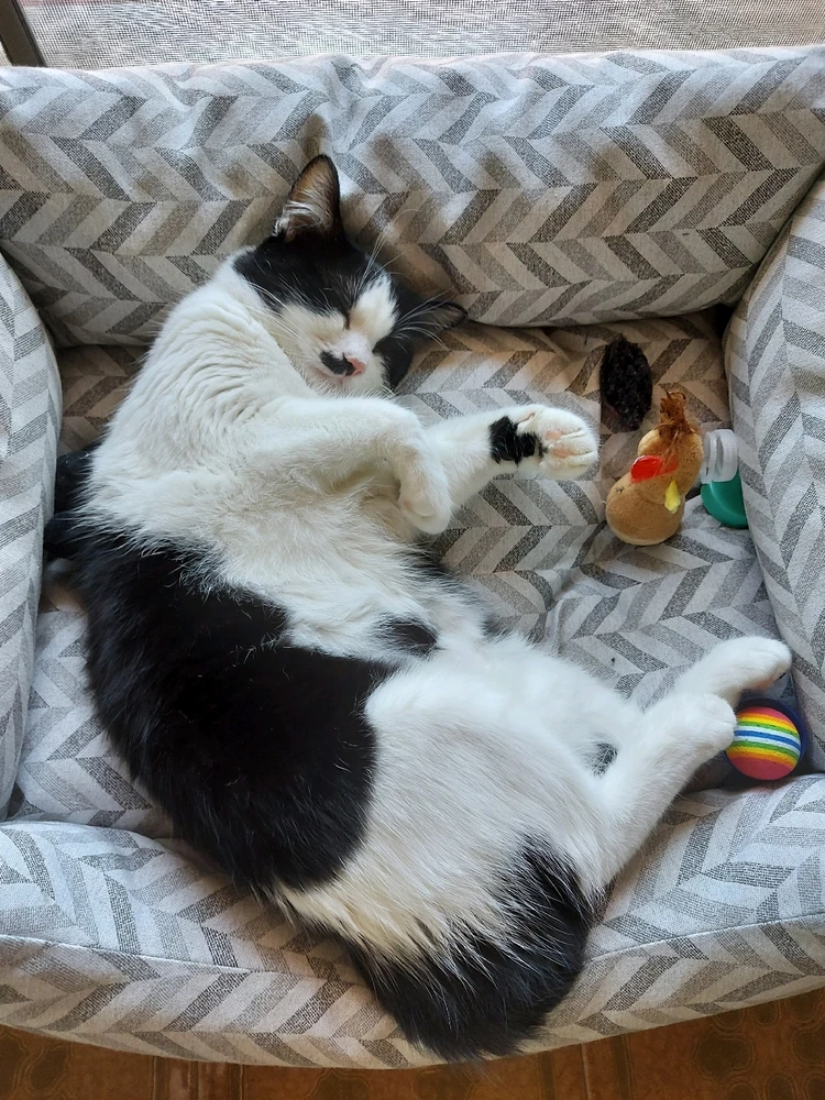 GIF caricata da Michele