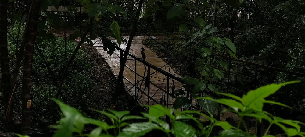 GIF uploaded by Yash