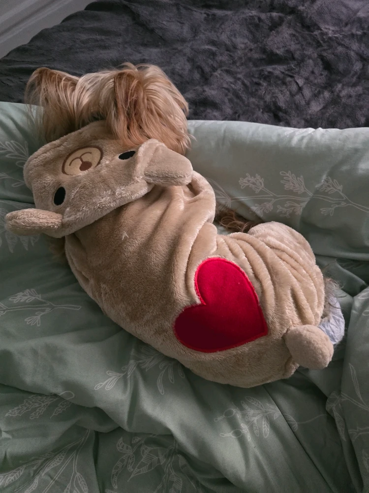 GIF uploaded by ใ๐น.::Lenรถrรฉ::.๐นใ