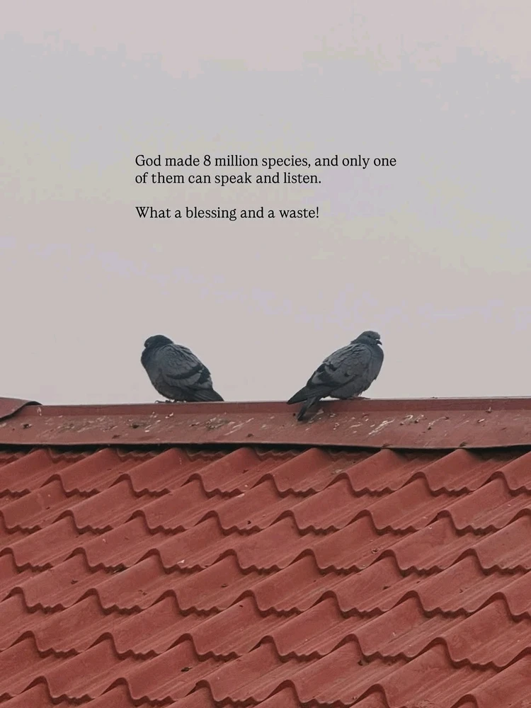 GIF uploaded by Kushal