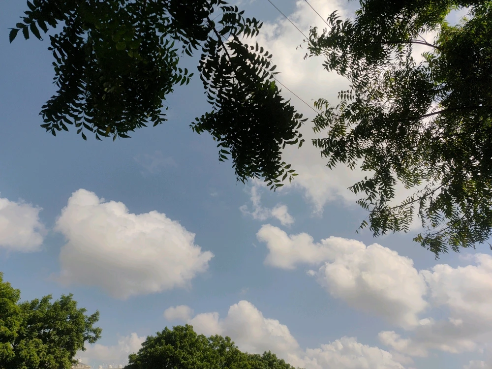 GIF diunggah dening Jatin