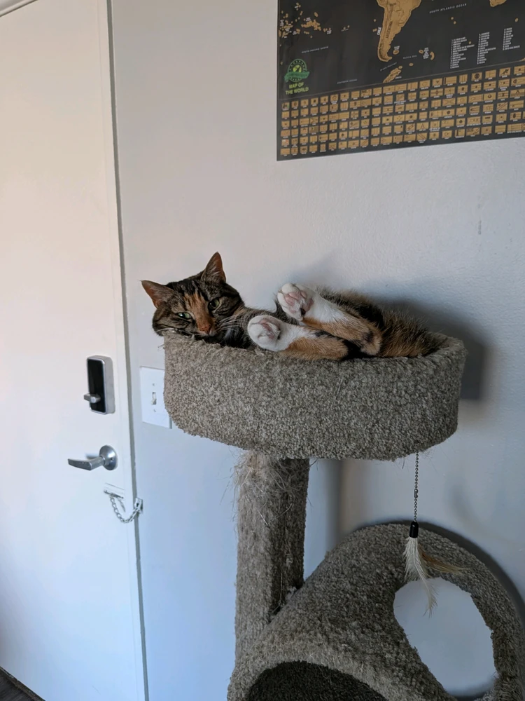 GIF uploaded by Paul