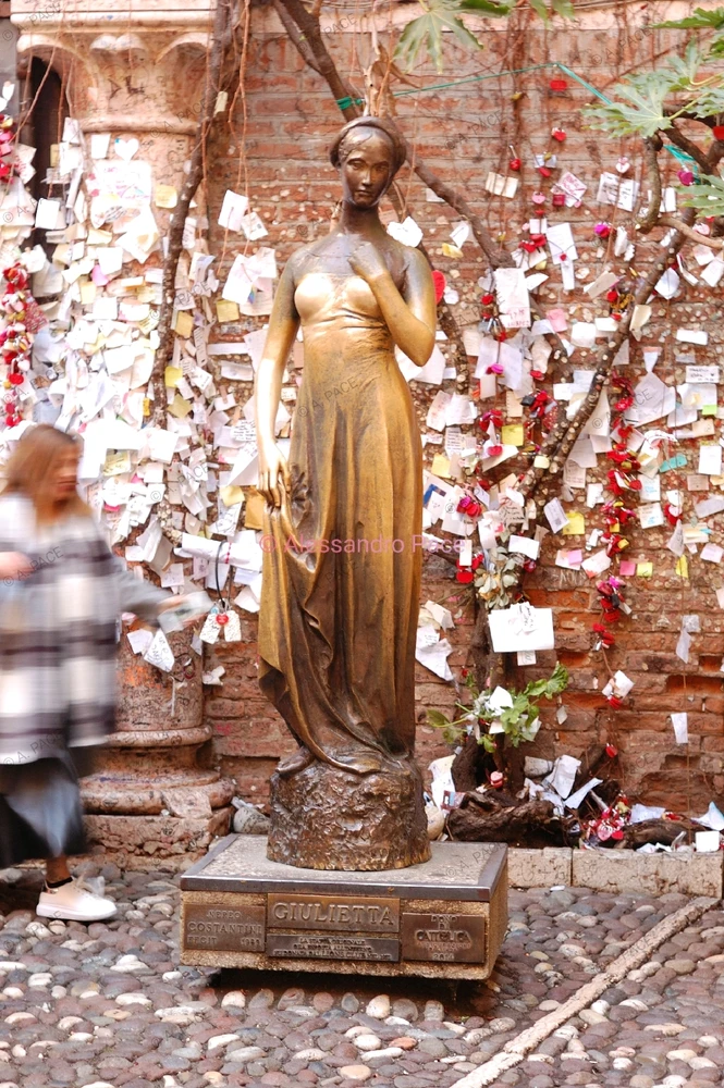 Immagine caricata da Alessandro | alpacigno