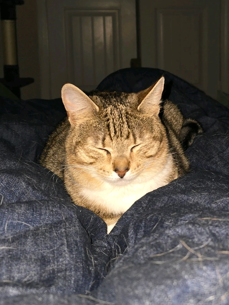 GIF uploaded by Albert