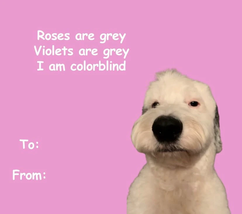 GIF uploaded by rene