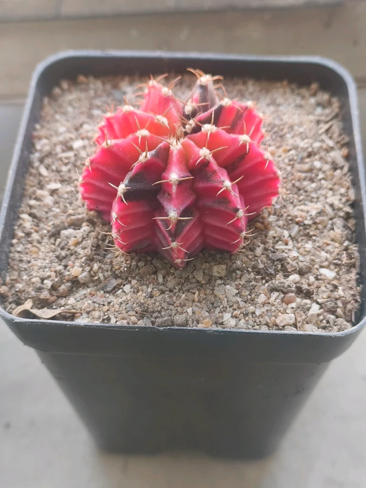 GIF uploaded by Himanshu