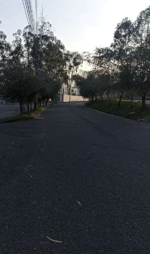 GIF subido por David