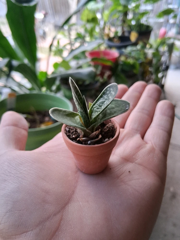 GIF uploaded by Vince