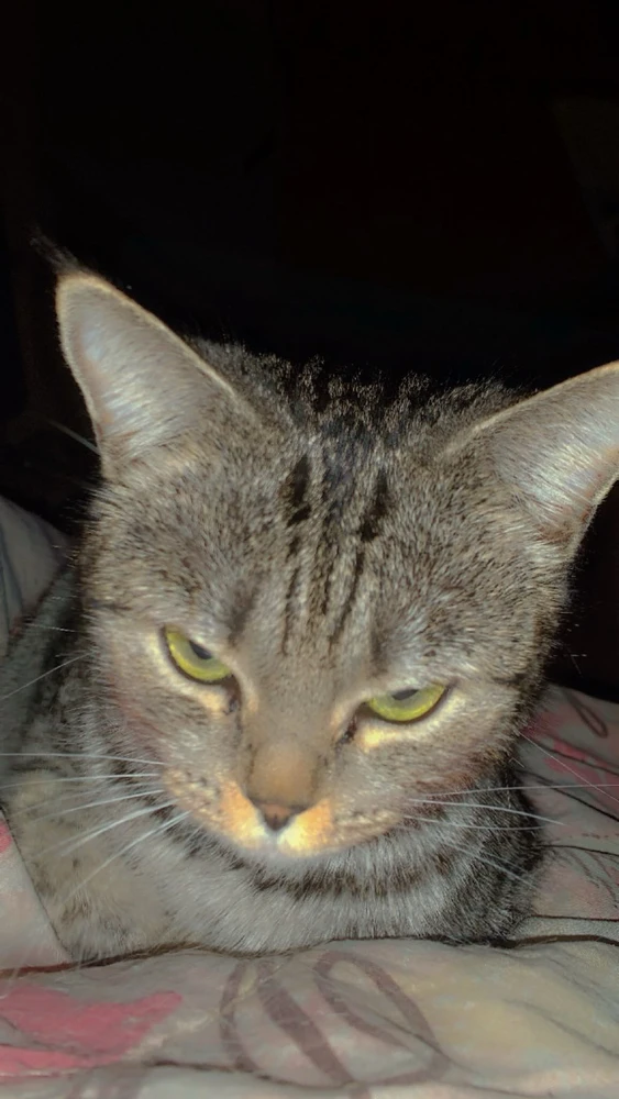 GIF uploaded by Jayna