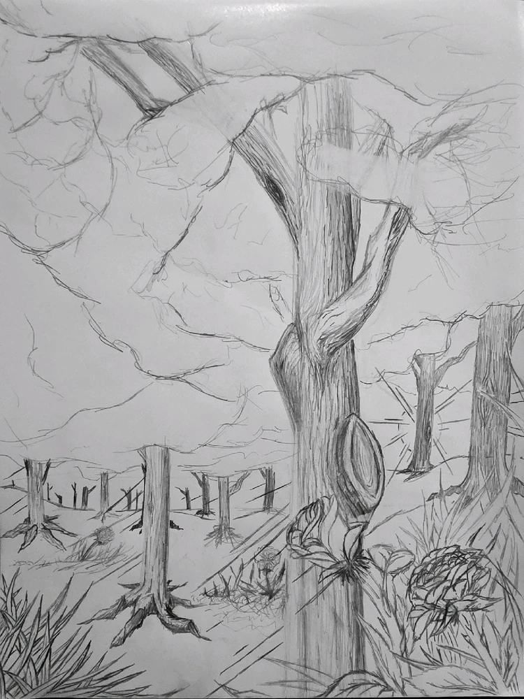 Image uploaded by Riley