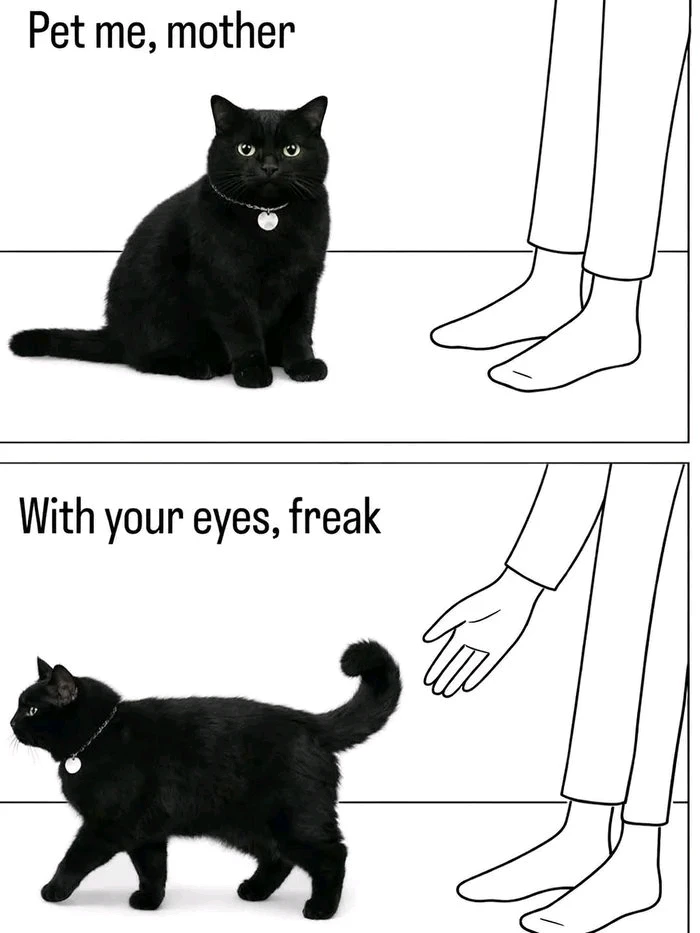 GIF uploaded by James