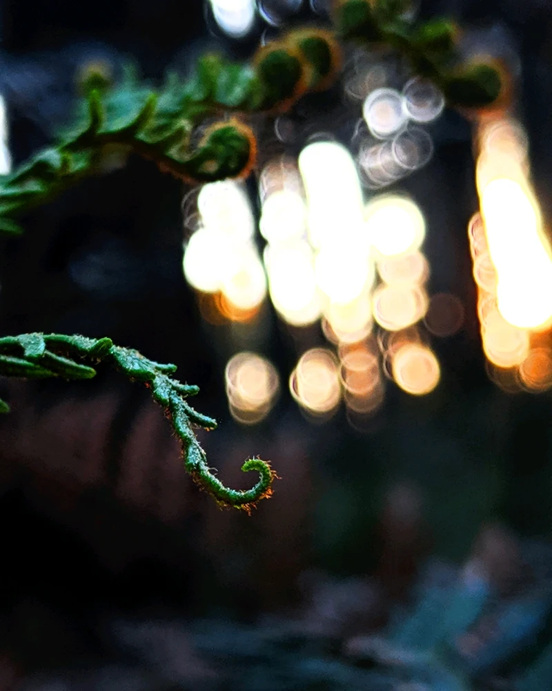 GIF uploaded by Chris