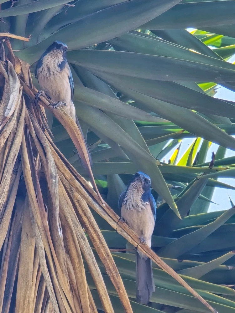 GIF uploaded by William