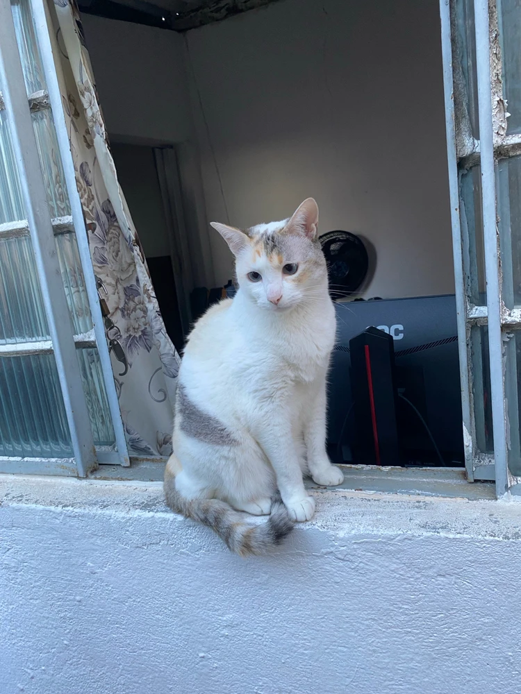 GIF enviado por Rafael