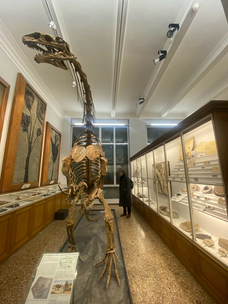 Image uploaded by Stepan