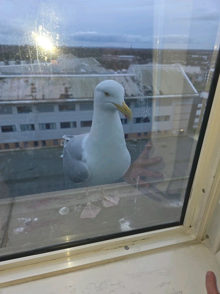 GIF uploaded by DezzieDee