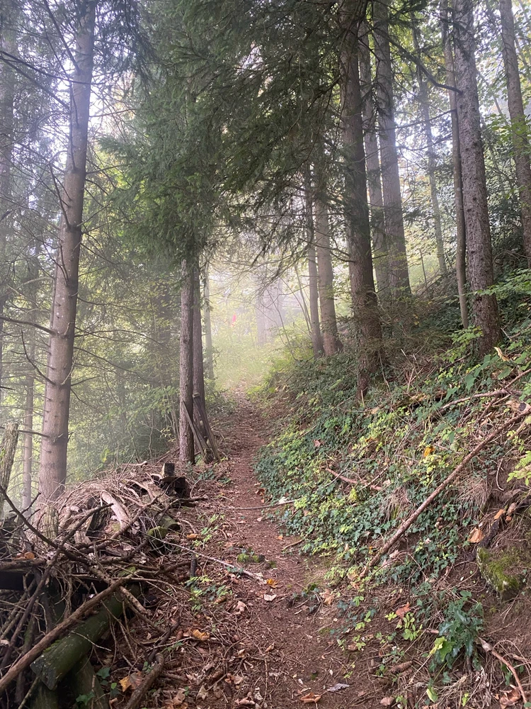 Image uploaded by Stepan