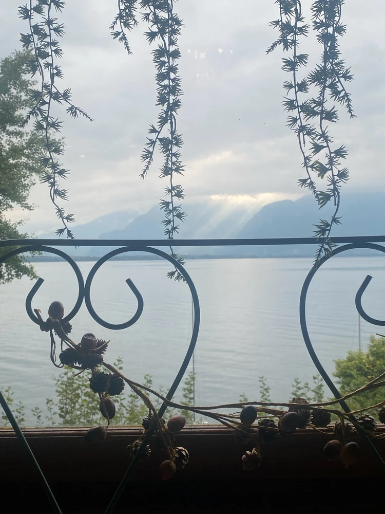 Image uploaded by Stepan