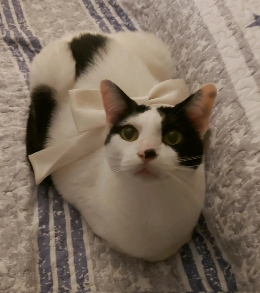 GIF subido por Paula